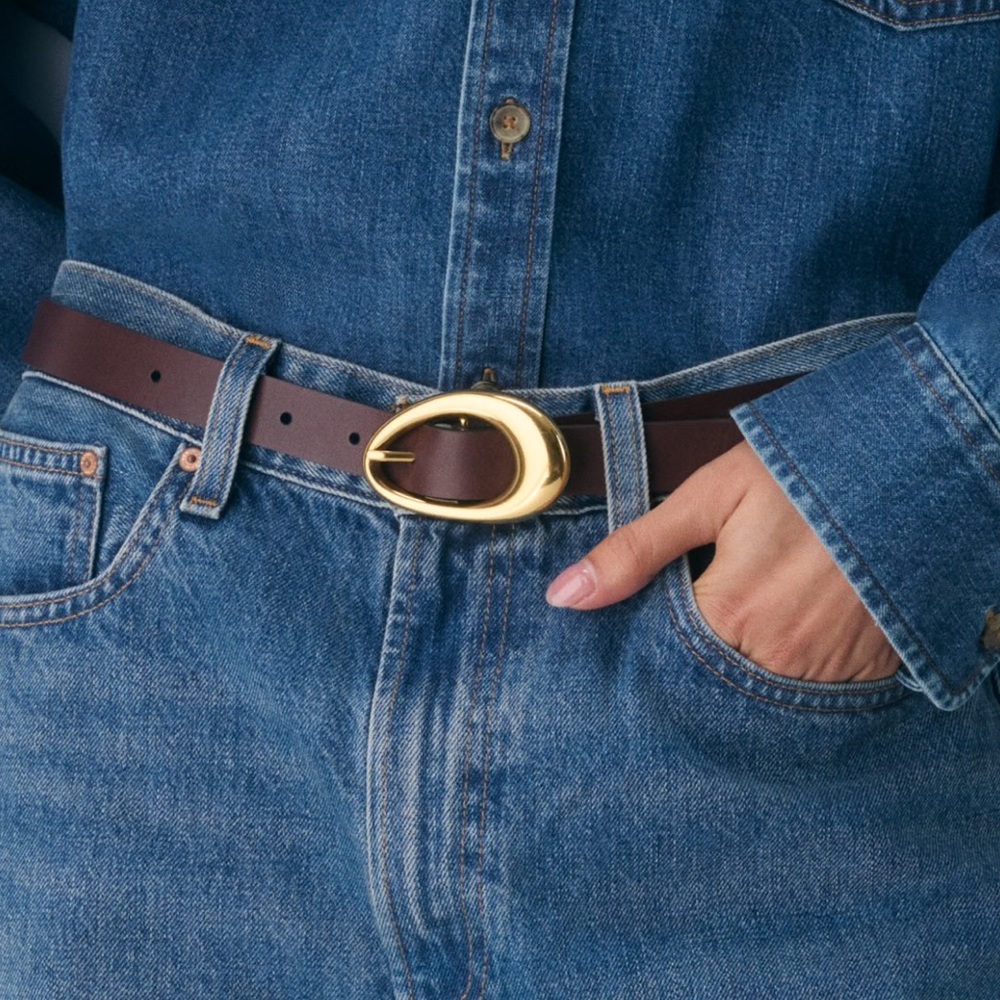 ARITZIA PERENNIAL SOLID BRASS LEATHER BELT